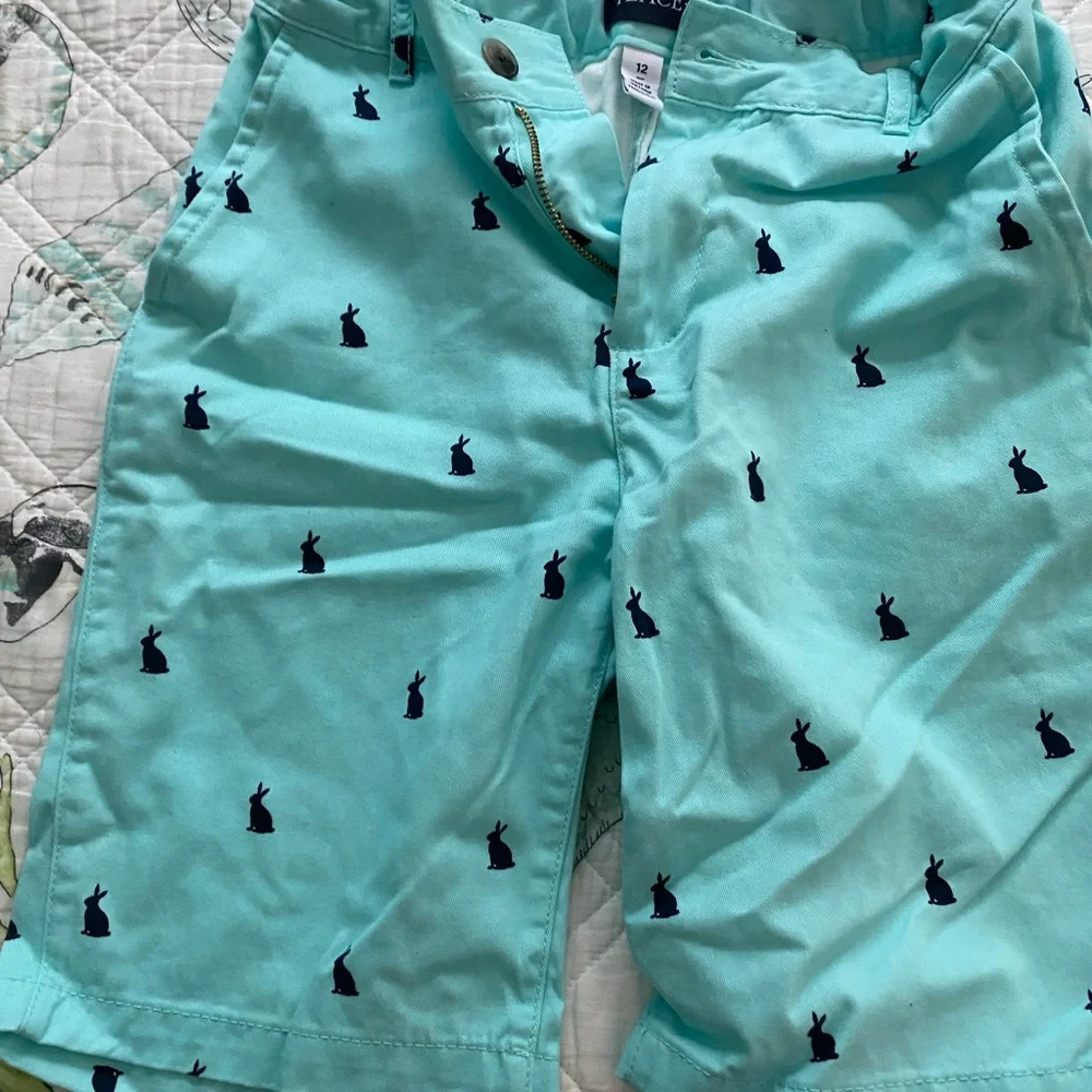 2 L size 10-12 Children's Place polos with light aqua shorts embroidered shorts - Picture 5 of 5